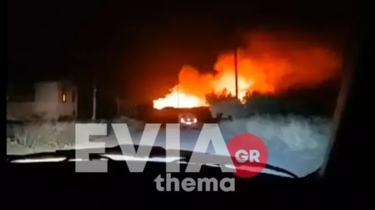 Μεγάλη φωτιά στα Ψαχνά Ευβοίας